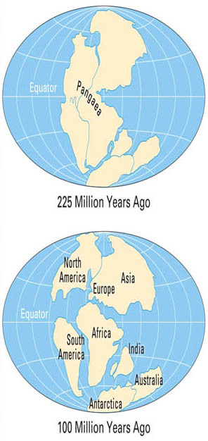 Continental Drift of Plates